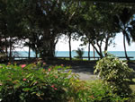 View from front porch